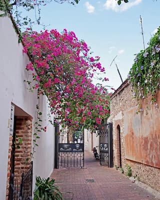 calle-santo-domingo