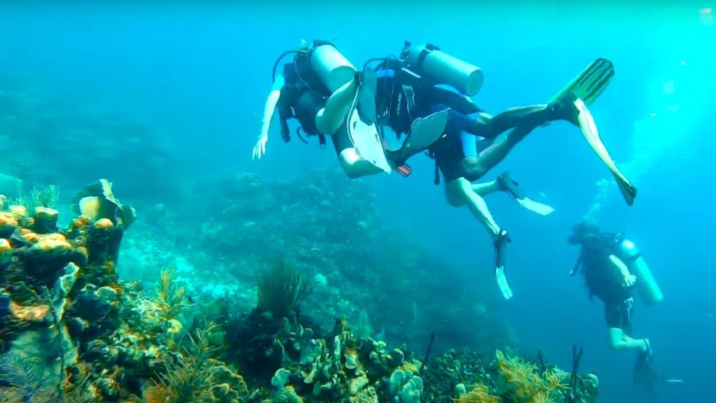 Let's Go RD 9 Tour Isla Catalina Buceo