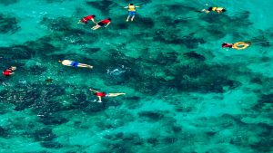 excursion-isla-catalina-snorkel