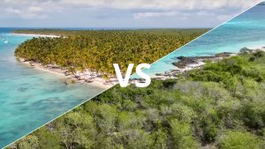 isla-saona-vs-isla-catalina