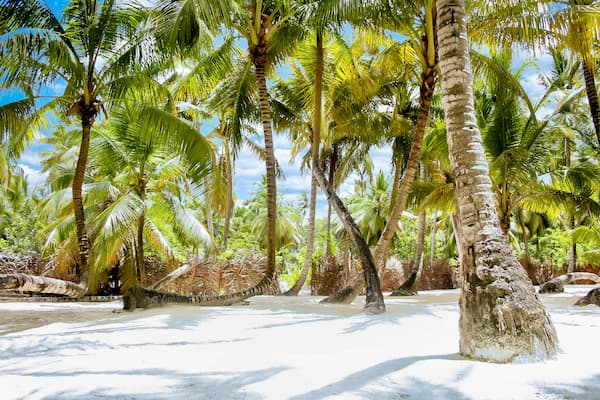 Excursión Isla Saona 7 palmeras-isla-saona