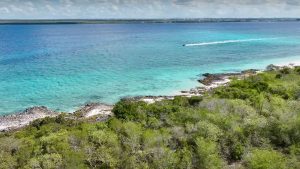 panoramica-isla-catalina
