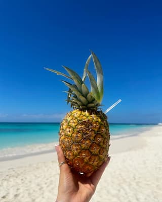 Excursión Isla Saona 4 pina-excursion-saona
