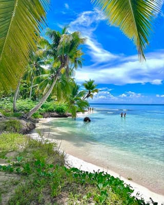 Excursión Isla Saona 12 playa-excursion-saona